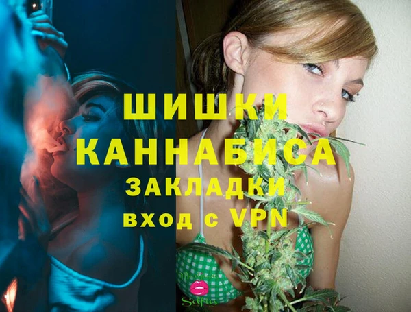 твердый Корсаков