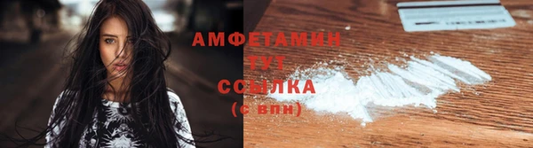 молекула духа Костерёво