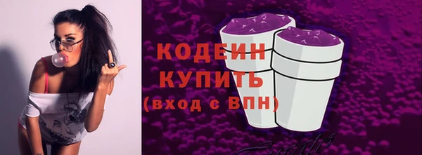 молекула духа Костерёво