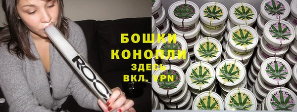твердый Корсаков