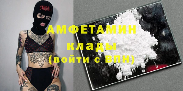 молекула духа Костерёво