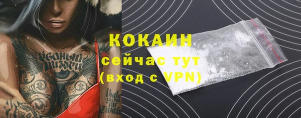 молекула духа Костерёво