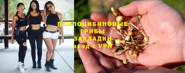 твердый Корсаков