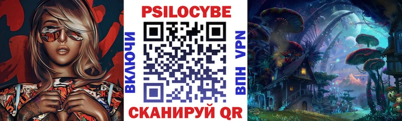 Купить закладки  Костерёво  Галлюциногенные грибы Psilocybe 